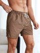 Men's Drawstring Waist Swim Trunks Striped Print Pocket Shorts