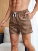 Men's Drawstring Waist Swim Trunks Striped Print Pocket Shorts