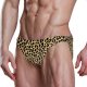 Men's Sexy Bikini Swimsuit Swimwear Quick Dry Print Briefs
